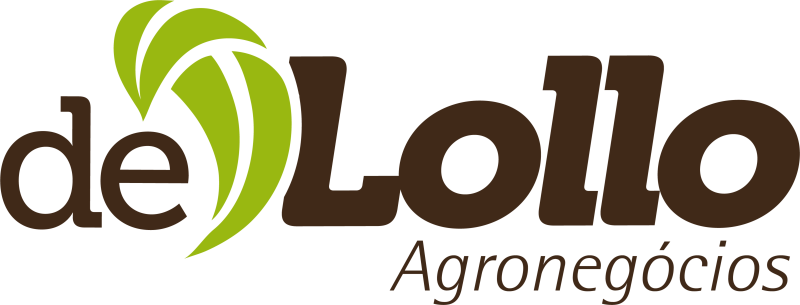 De Lollo Logo